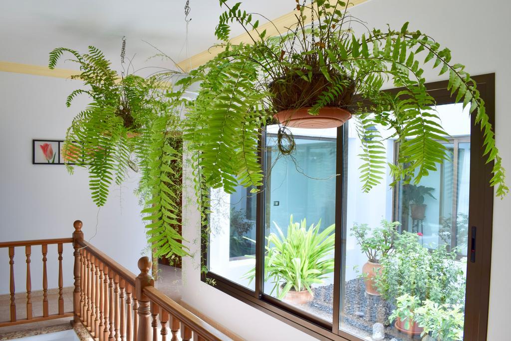 Casa Lava Villa Yaiza  Ngoại thất bức ảnh